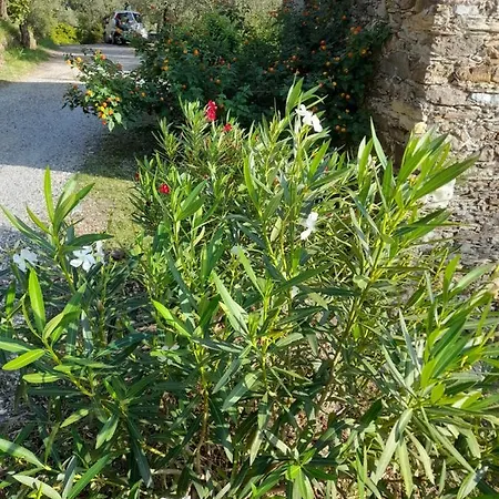 La Rosa Dei Venti A 2 Km Dal Mare Di Ferienhaus Lavagna