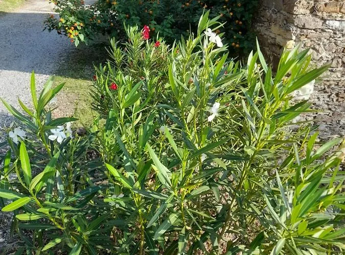 La Rosa Dei Venti A 2 Km Dal Mare Di Дом отдыха Лаванья