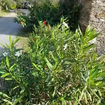 La Rosa Dei Venti A 2 Km Dal Mare Di Holiday home Lavagna